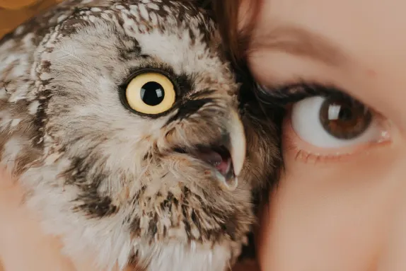 Casino Loco Win Tugi